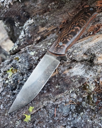 IMG_20210123_091632_851-1